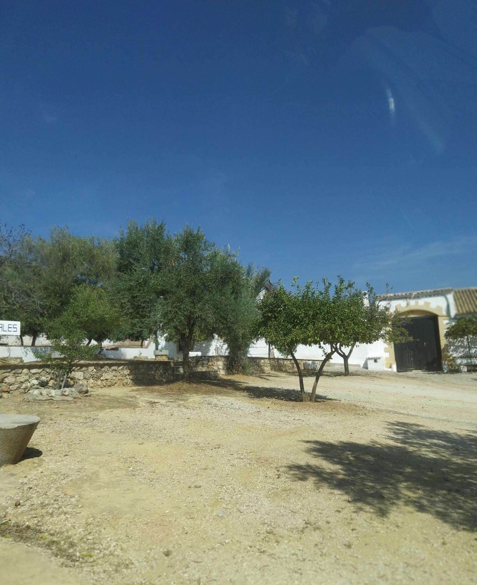Casas Rurales Cortijo La Canada Estepa Room photo