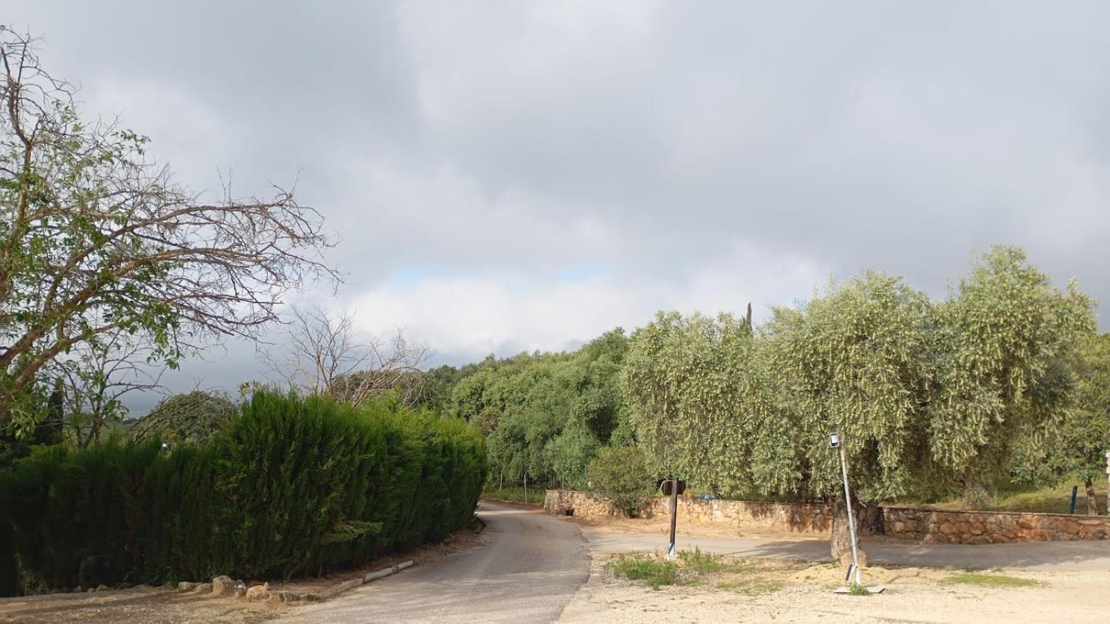 Casas Rurales Cortijo La Canada Estepa Exterior photo