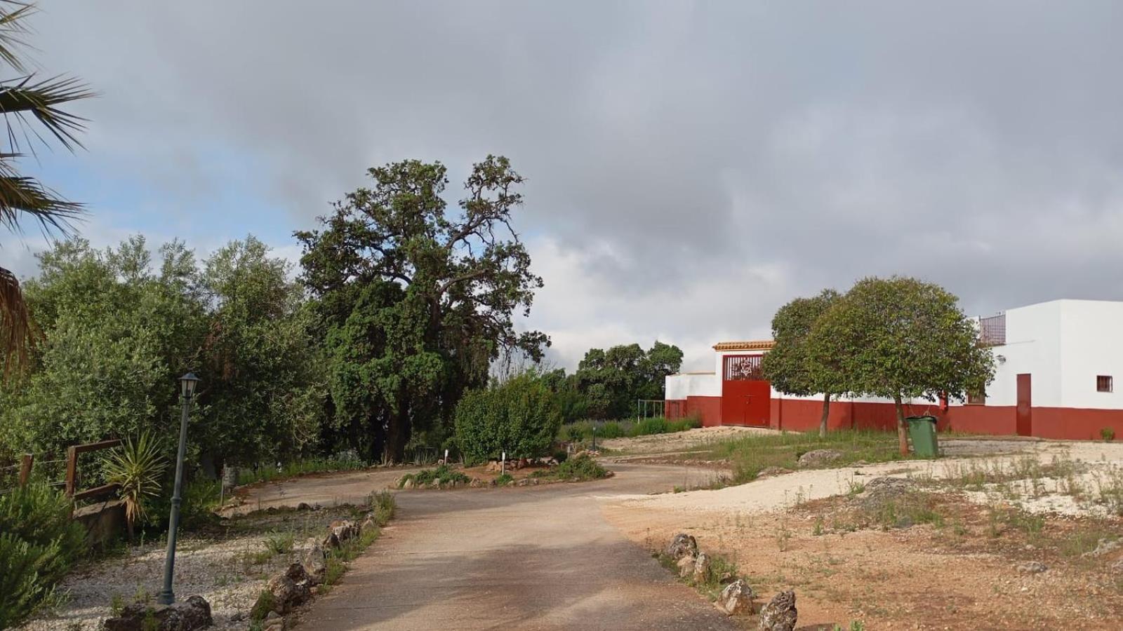 Casas Rurales Cortijo La Canada Estepa Exterior photo