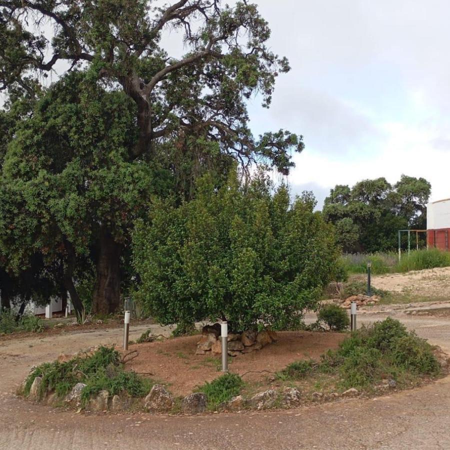 Casas Rurales Cortijo La Canada Estepa Exterior photo